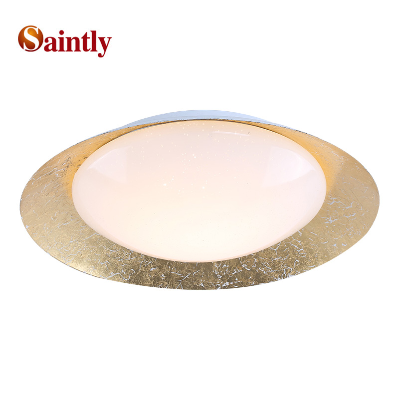 house ceiling lights 67021A-24W-1