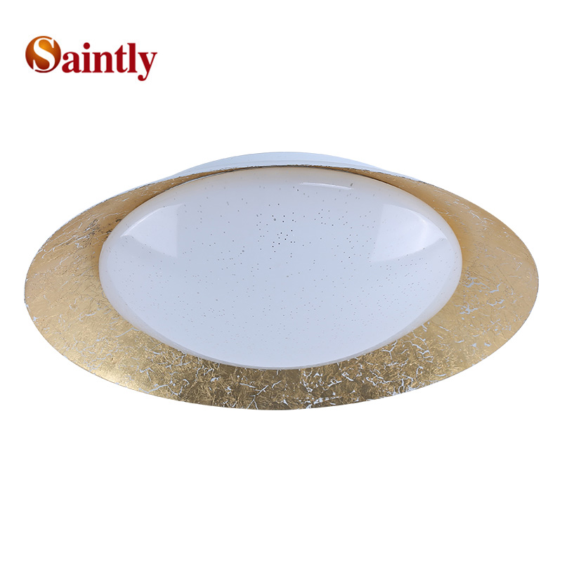 Saintly lighting led ceiling light fixtures for wholesale for bathroom-1