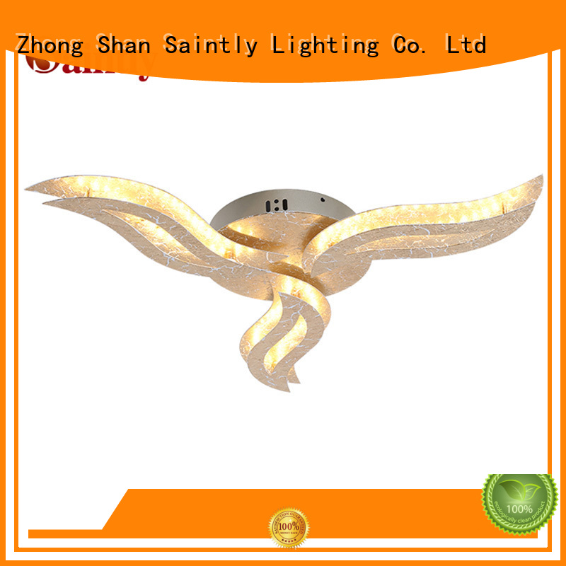 Saintly ceiling decorative ceiling lights inquire now for study room