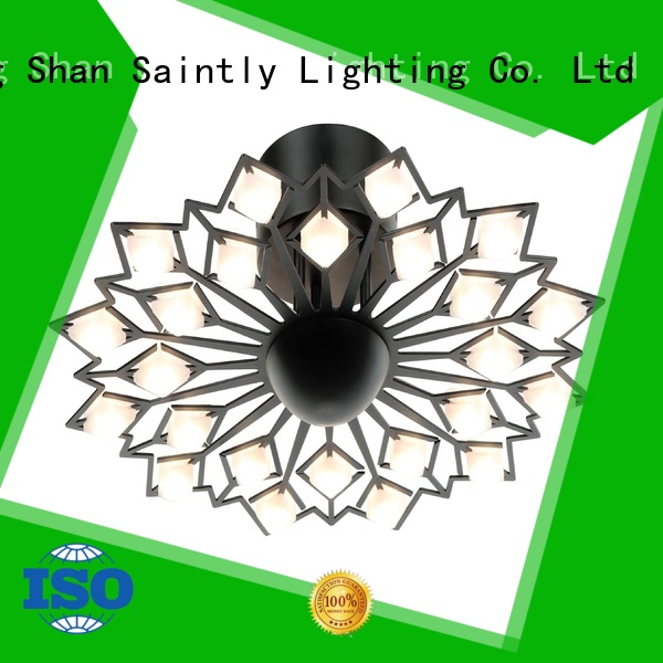 Saintly ceiling decorative ceiling lights factory price for bedroom